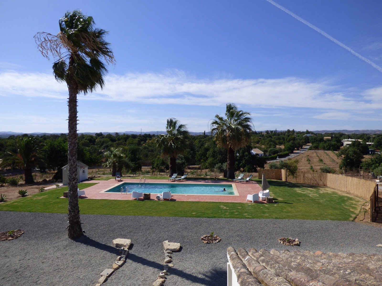 Pool und Rasen zur Mittagszeit