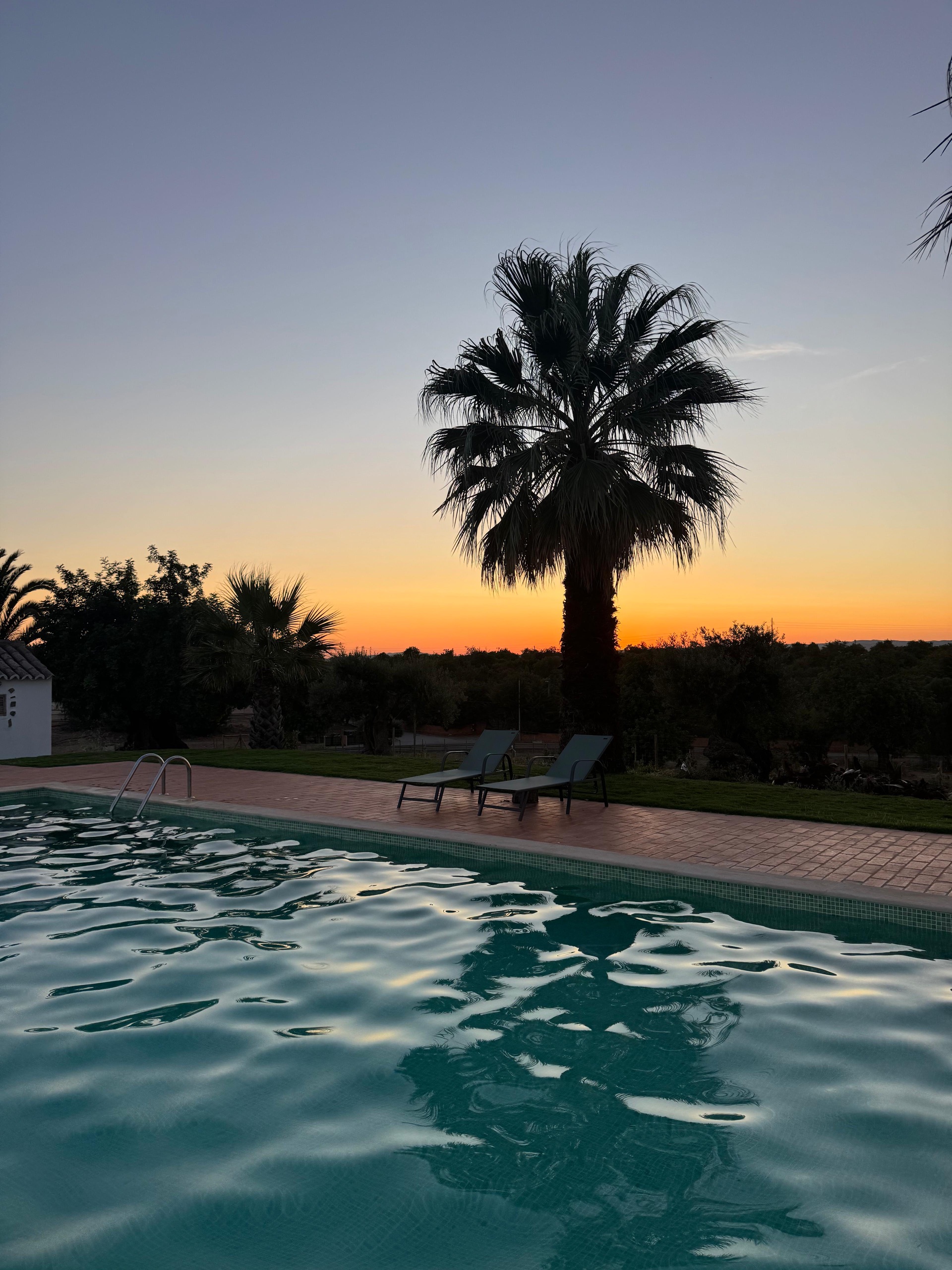 vista da quinta em Tavira