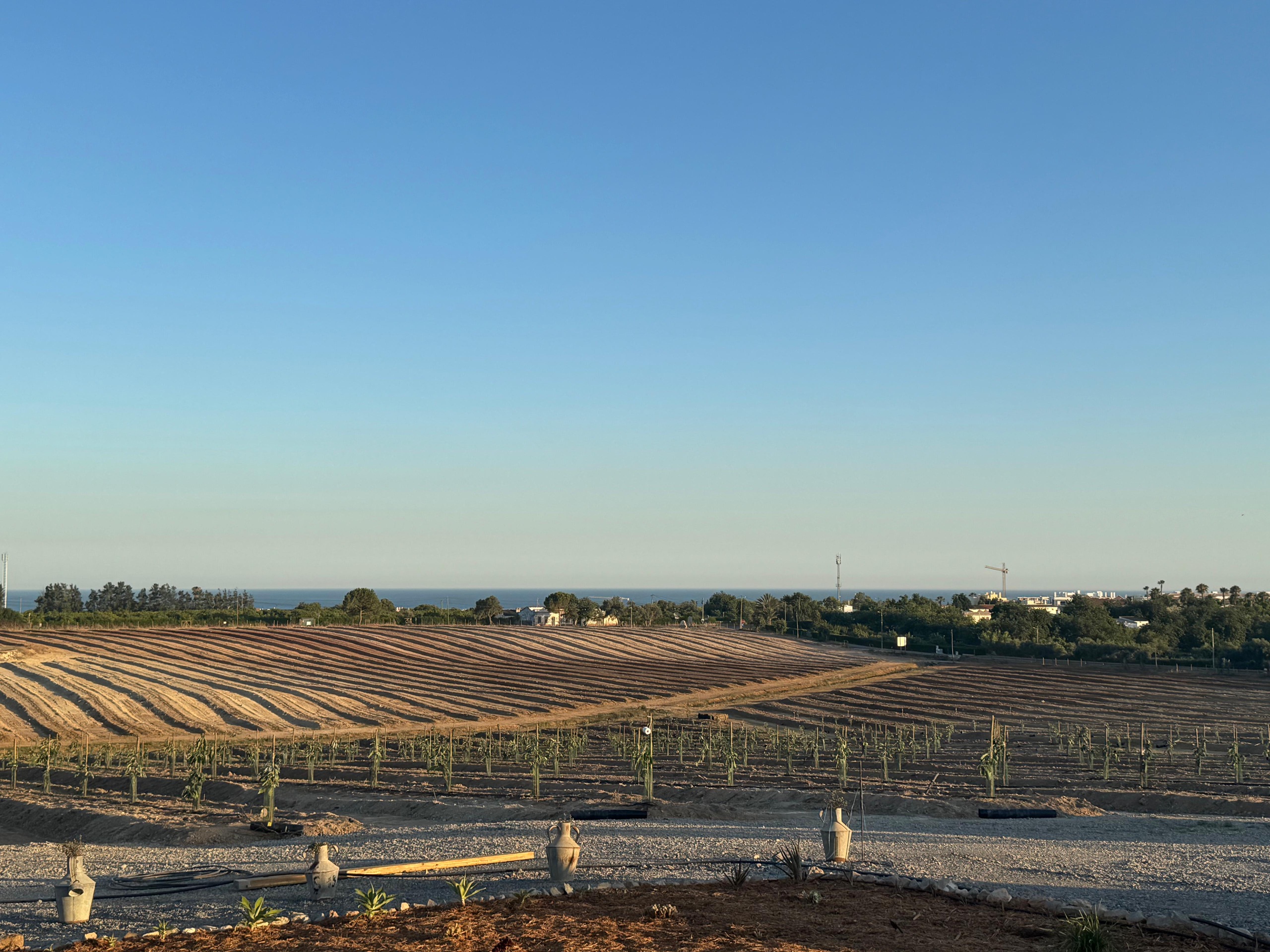 les champs de la ferme descendant vers la mer, en fin d’après-midi