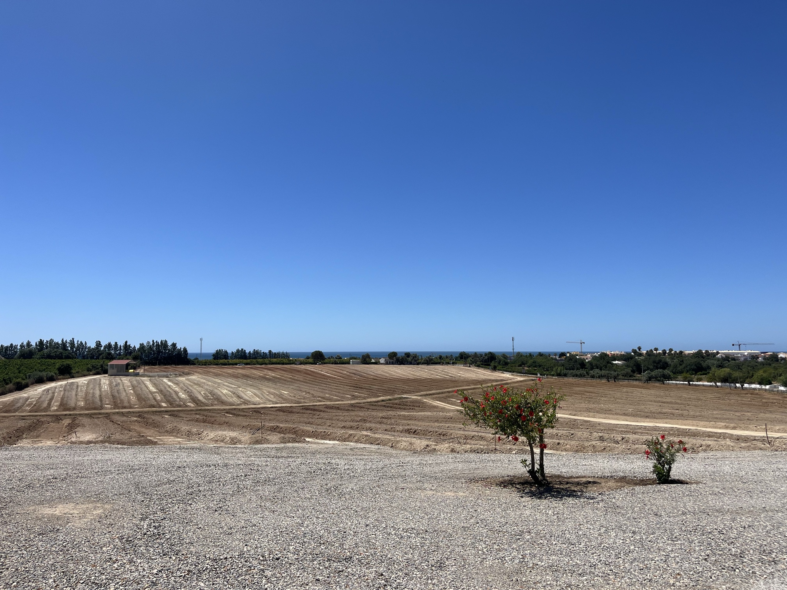 vue depuis la ferme sur les champs jusqu’à la mer